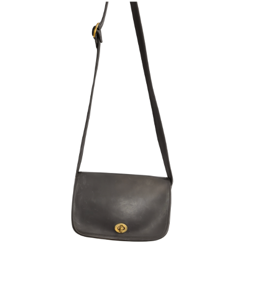 Blue Gray Coach Purse